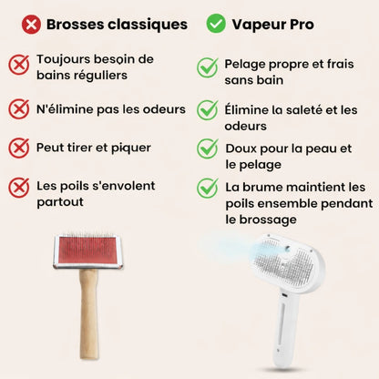 Casalya Vapeur Pro | Brosse de toilettage pour animaux