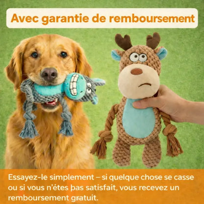 Peluche pour chien