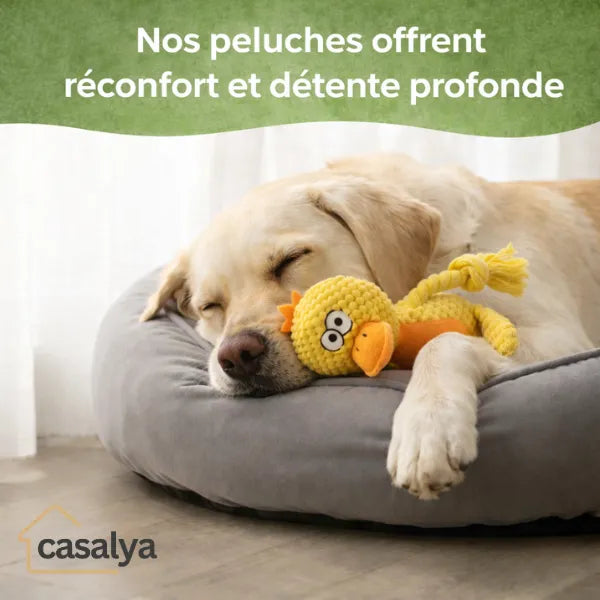 Peluche pour chien