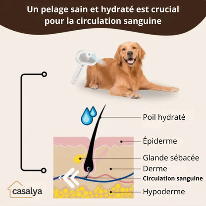 Casalya Vapeur Pro | Brosse de toilettage pour animaux