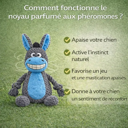 Peluche pour chien