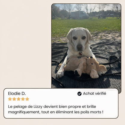 Casalya Vapeur Pro | Brosse de toilettage pour animaux