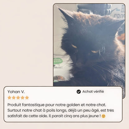 Casalya Vapeur Pro | Brosse de toilettage pour animaux