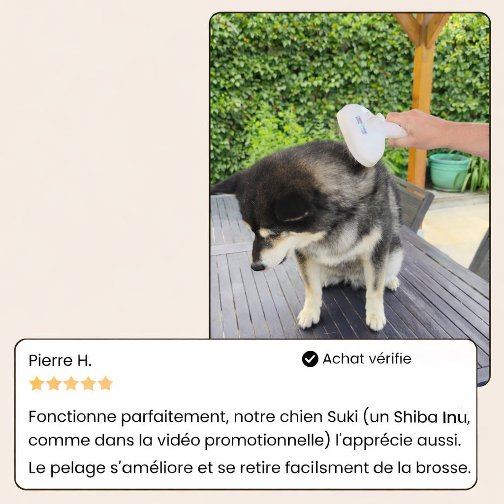 Casalya Vapeur Pro | Brosse de toilettage pour animaux