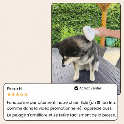 Casalya Vapeur Pro | Brosse de toilettage pour animaux