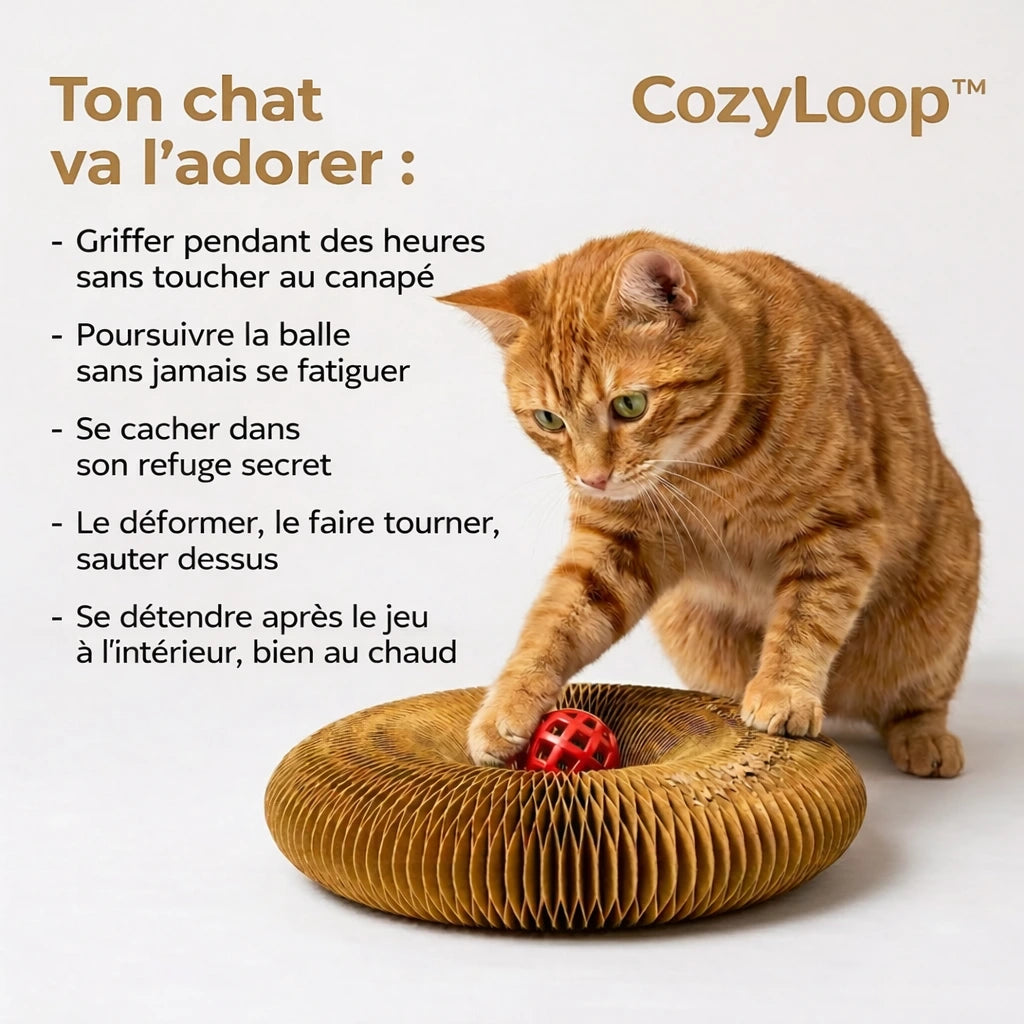 Griffoir CozyLoop™