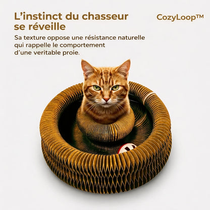 Griffoir CozyLoop™