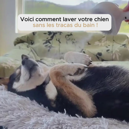 Casalya Vapeur Pro | Brosse de toilettage pour animaux